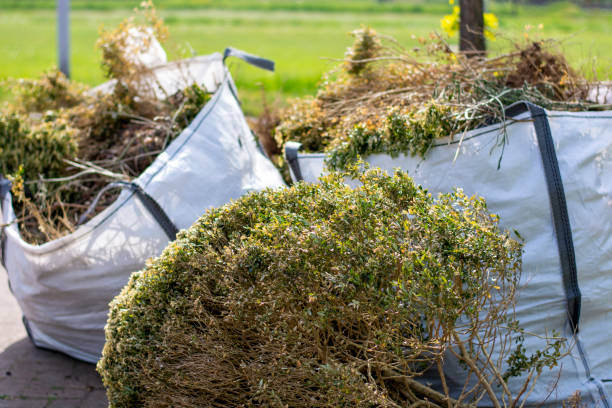 Professional Junk Removal in Storrs, CT